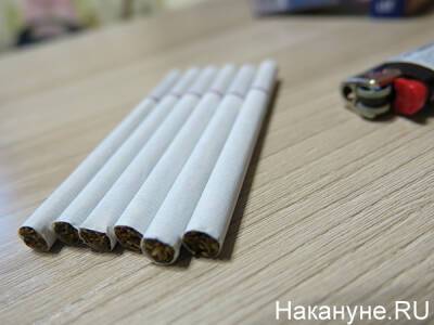 Счетная палата предложила поделиться доходами от акцизов на табак с регионами - nakanune.ru