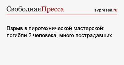 Взрыв в пиротехнической мастерской: погибли 2 человека, много пострадавших - svpressa.ru - Мексика - Биробиджан