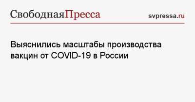 Александр Гинцбург - Выяснились масштабы производства вакцин от COVID-19 в России - svpressa.ru - Россия