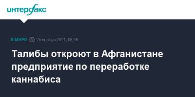 Талибы откроют в Афганистане предприятие по переработке каннабиса - interfax.ru - Москва - Россия - Австралия - Афганистан - Талибан