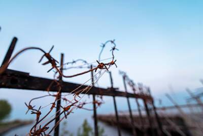Многодетного россиянина отправили на зону за пиратский софт - lenta.ru