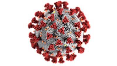 Эксперт прокомментировал снижение уровня заболеваемости коронавирусом в Японии - vm.ru - Япония