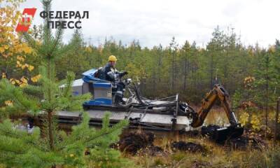 «Самотлорнефтегаз» рекультивировал более 150 гектаров земель исторического наследия - fedpress.ru - Москва