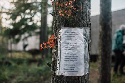 «Риск коррупции». Проект благоустройства парка «Каменный бор» вызвал вопросы у горожан - gubdaily.ru
