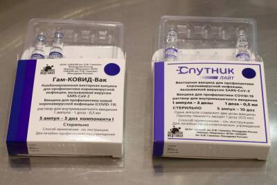 В Дагестан поступила крупная партия вакцин «Спутник V» и «Спутник лайт» - etokavkaz.ru - респ. Дагестан