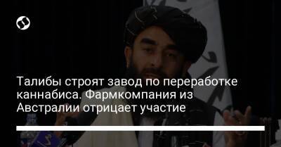 Талибы строят завод по переработке каннабиса. Фармкомпания из Австралии отрицает участие - liga.net - Украина - Австралия - Афганистан