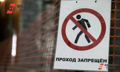 Елена Ситникова - В Кургане открыли долгожданный транспортный проект - fedpress.ru
