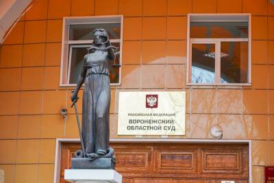 Иск об отмене QR-кодов принял к производству Воронежский областной суд - gorcom36.ru - Воронеж - Воронежская обл.