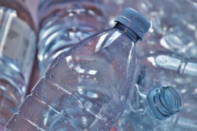 Как правильно использовать пластиковую бутылку на даче: поливать грядки можно будет реже - skuke.net