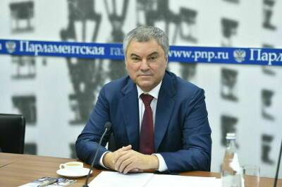 Татьяна Голикова - Вячеслав Володин - Михаил Мурашко - Володин: Госдума проведёт ряд встреч с кабмином для обсуждения законопроектов о QR-кодах - pnp.ru - Россия