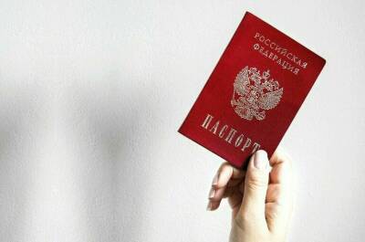 МВД: порядка 700 тысяч иностранцев могут получить гражданство России до конца года - pnp.ru - Россия