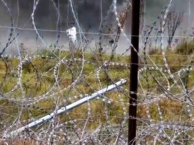 На границе Белоруссии и Польши обнаружены двое жестко избитых нелегалов с переломами ног - rosbalt.ru - Белоруссия - Ирак - Польша - район Каменецкий
