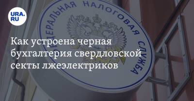 Как устроена черная бухгалтерия свердловской секты лжеэлектриков - ura.news - Екатеринбург - Пермь - Калининград - Свердловская обл.