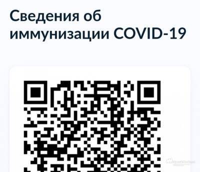 Владимир Путин - Татьяна Голикова - До года будет продлен сертификат для переболевших COVID-19 липчан - lipetskmedia.ru - Липецкая обл.