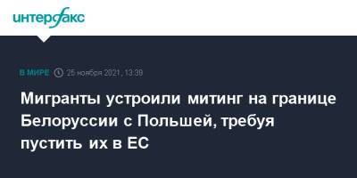 Мигранты устроили митинг на границе Белоруссии с Польшей, требуя пустить их в ЕС - interfax.ru - Москва - Белоруссия - Германия - Ирак - Польша - Литва - Латвия - Курдистан