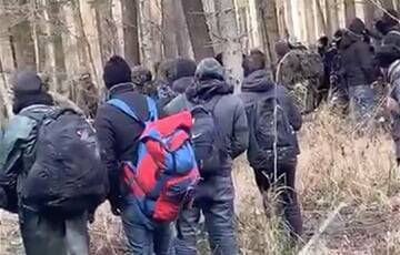 Мнение: Белорусские власти оказались в гораздо худшем положении, чем были в начале авантюры с мигрантами - charter97.org - Белоруссия - Польша
