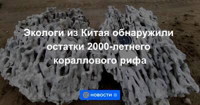 Екатерина Гура - Экологи из Китая обнаружили остатки 2000-летнего кораллового рифа - news.mail.ru - Китай - Хайнань - Экология