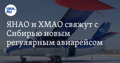 ЯНАО и ХМАО свяжут с Сибирью новым регулярным авиарейсом - ura.news - Новосибирск - Югра - окр. Янао - Нижневартовск