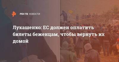 Александр Лукашенко - Лукашенко: ЕС должен оплатить билеты беженцам, чтобы вернуть их домой - ren.tv - Белоруссия - Польша - Минск - Багдад