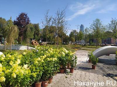Сад на Площади 1905 года вернется в Екатеринбург следующим летом - nakanune.ru - Екатеринбург
