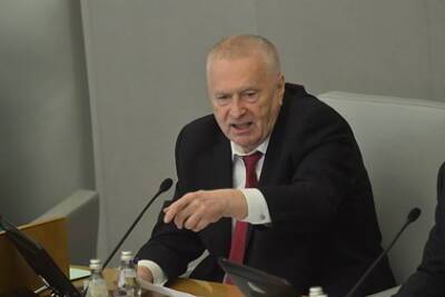 Владимир Жириновский - Жириновский предложил отменить новогодние каникулы и выйти на работу 2 января - lenta.ru - Россия