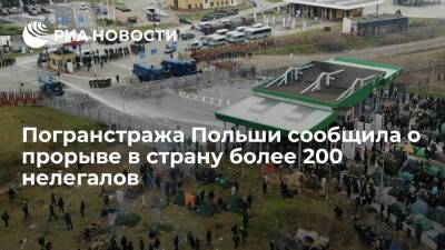 Анна Михальская - Погранстража Польши: более 200 нелегалов прорвались в страну, их вернули в Белоруссию - ria.ru - Белоруссия - Польша - Варшава