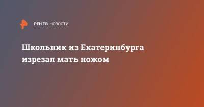Школьник из Екатеринбурга изрезал мать ножом - ren.tv - Екатеринбург - район Кировский, Екатеринбург