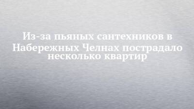 Из-за пьяных сантехников в Набережных Челнах пострадало несколько квартир - chelny-izvest.ru - Набережные Челны