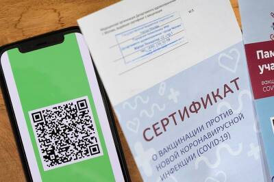 Будут ли внедрять повсеместное использование QR-кодов в Ленобласти станет известно 30 ноября - ivbg.ru - Украина - Ленинградская обл.