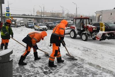 В России предложили раздать квартиры дворникам - lenta.ru - Москва - Россия