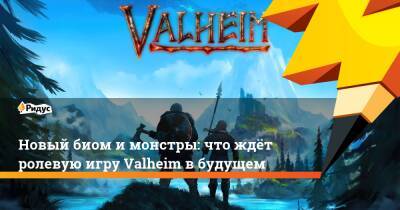 Новый биом и монстры: что ждёт ролевую игру Valheim в будущем - ridus.ru