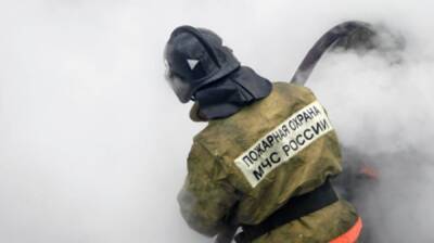 Отец и сын задохнулись в задымленном одноэтажном доме в Чите - inforeactor.ru - Калининградская обл. - Чита