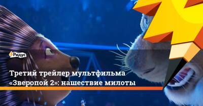 Третий трейлер мультфильма «Зверопой 2»: нашествие милоты - ridus.ru
