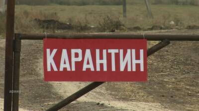 В ветеринарии Башкирии прокомментировали введение карантина в одном из районов - bash.news - Башкирия - район Баймакский