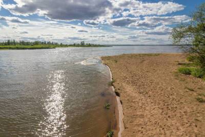 Житель Тверской области испортил дно и берег Иваньковского водохранилища - tver.mk.ru - Россия - Тверь - Тверская обл. - район Конаковский