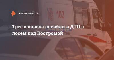 Три человека погибли в ДТП с лосем под Костромой - ren.tv - Костромская обл. - Кострома