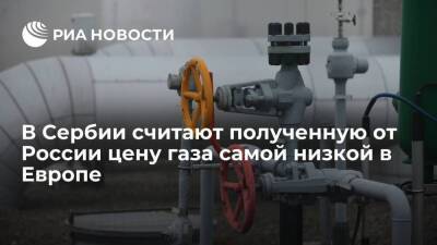 Владимир Путин - Александр Вучич - Глава минфина Сербии Мали назвал полученную от России цену газа самой низкой в Европе - smartmoney.one - Россия - Сочи - Сербия - Мали