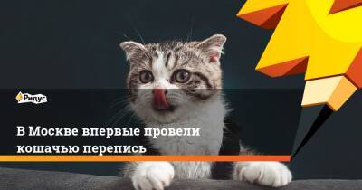 В Москве впервые провели кошачью перепись - ridus.ru - Москва - Россия - Зеленоград