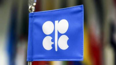 Джо Байден - ОПЕК прогнозирует избыток нефти на рынке из-за действий США - mediavektor.org - Южная Корея - США - Англия - Япония - Индия