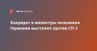 Роберт Хабек - Анналена Бербок - Кандидат в министры экономики Германии выступил против СП-2 - ren.tv - США - Украина - Германия