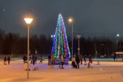 Первую новогоднюю ёлку установили в Петрозаводске - karel.mk.ru - Петрозаводск - республика Карелия