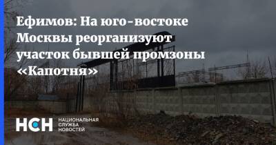 Владимир Ефимов - Ефимов: На юго-востоке Москвы реорганизуют участок бывшей промзоны «Капотня» - nsn.fm - Москва