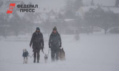 Тюменцев ждет теплый декабрь - fedpress.ru - Тюмень - Тюменская обл.
