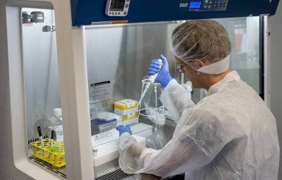 Российские ученые разработали тест-систему для создания лекарства от COVID-19 - trend.az - Россия