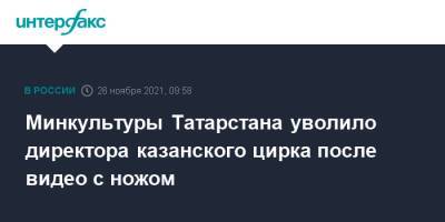 Рустам Минниханов - Минкультуры Татарстана уволило директора казанского цирка после видео с ножом - interfax.ru - Москва - респ. Татарстан - Казань