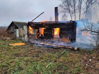 92-летняя жительница Смоленской области пострадала в пожаре - rabochy-put.ru - Смоленская обл. - район Краснинский