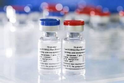 Алексис Родзянко - Американские бизнесмены попросили власти США одобрить вакцину «Спутник V» - versia.ru - Россия - США - Вашингтон