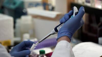 Нил Фергюсон - Учёные: выявленный в Южный Африке штамм COVID-19 может быть более устойчив к вакцинам - russian.rt.com - Англия - Гонконг - Лондон - Юар - Ботсвана