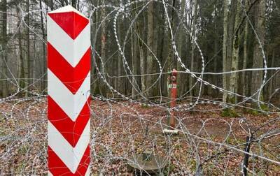 Границу Польши снова штурмовали почти две сотни нелегалов - korrespondent.net - Украина - Белоруссия - Польша
