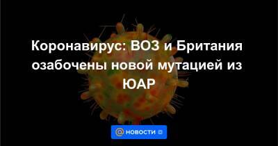 Коронавирус: ВОЗ и Британия озабочены новой мутацией из ЮАР - news.mail.ru - Англия - Зимбабве - Юар - Намибия - Ботсвана - Лесото